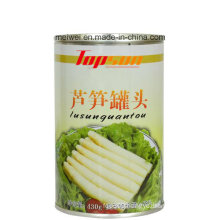 430g Canned Asparagus in Tin